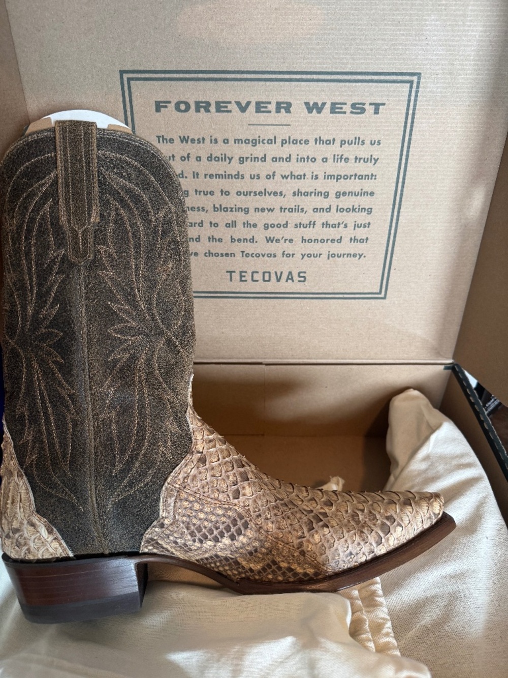 Limited Edition Tecova python men’s cowboy boots